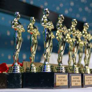 sdo-zk2013@viera-deveckova-006