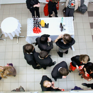 sdo-zk2013@viera-deveckova-007