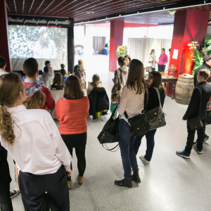 zk2016@kristian-sedlacek-009